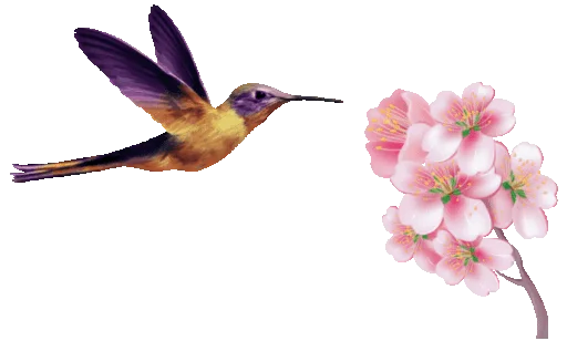 A hummingbird on a flower